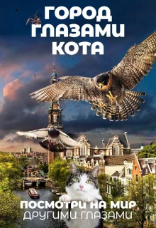 Город глазами кота