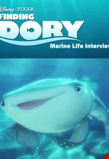 В поисках Дори: Интервью о морской жизни